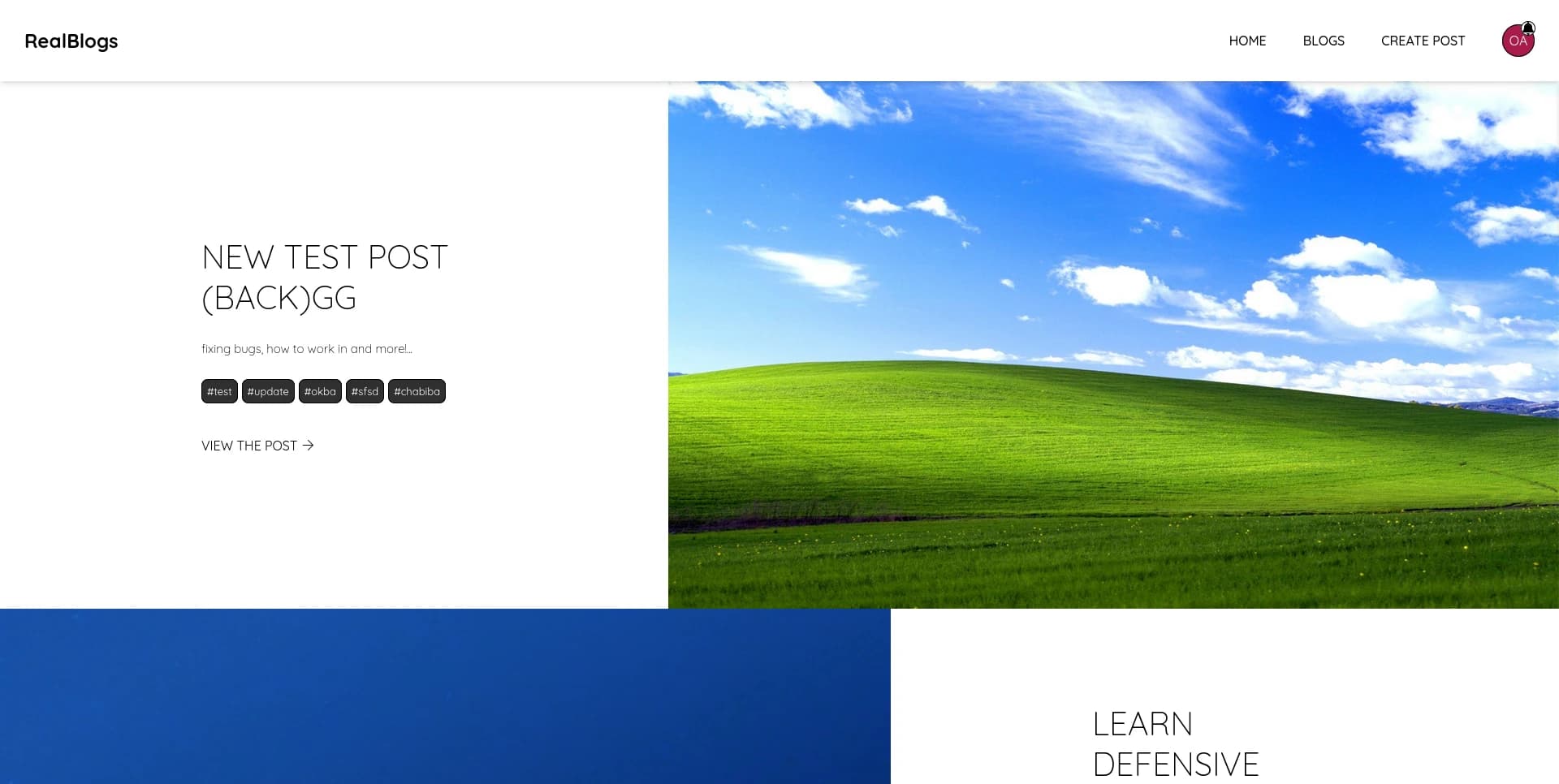 REALBLOGS screenshot 3