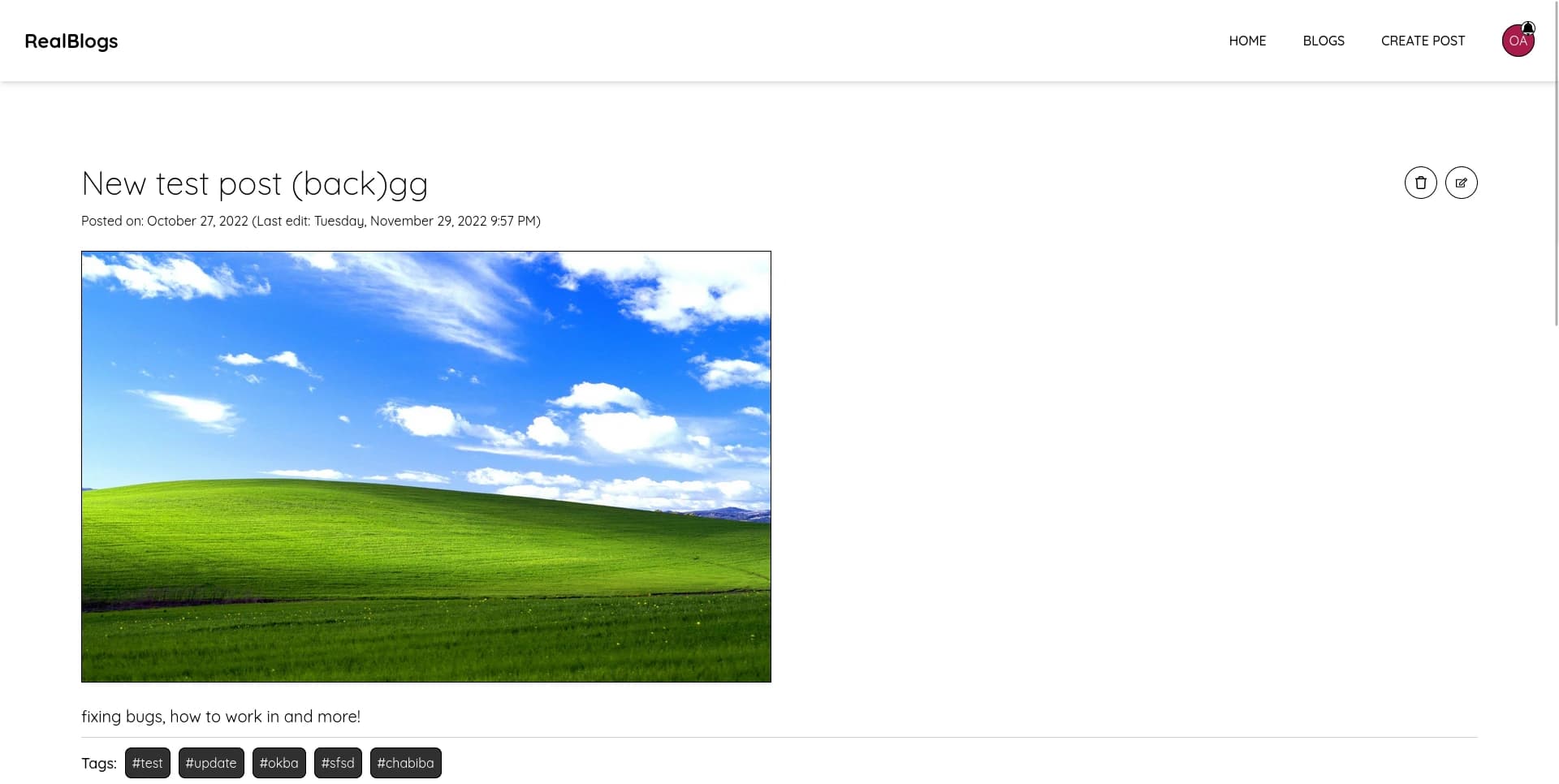 REALBLOGS screenshot 7